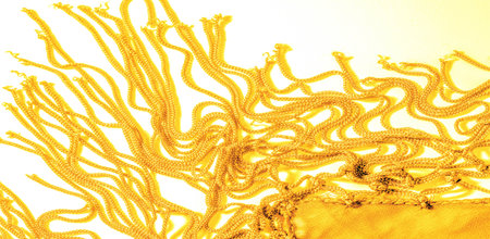 Background texture of silk fabric. This is a natural yellow scarf, this beautiful nylon satin made...