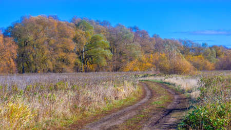 Autumn photography, floodplain of the river, But so far only autumn is golden, No rain or even wind, And the gold leaf flies to the earth, In the soul settles longing.の写真素材