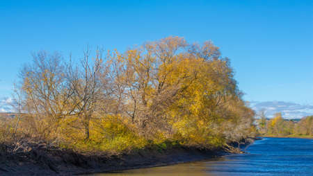 Autumn photography, floodplain of the river, But so far only autumn is golden, No rain or even wind, And the gold leaf flies to the earth, In the soul settles longing.の写真素材