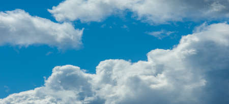 Wildlife photography. Cumulus clouds are clouds that have flat bases and are often described as âpuffyâ, âcotton-likeâ or âfluffyâ in appearance.の写真素材