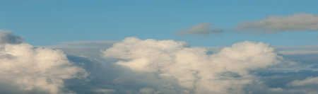 Wildlife photography. Cumulus clouds are clouds that have flat bases and are often described as...