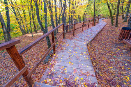 Hiking trail in the autumn beech forest high in the mountains of the Crimean peninsula, recreation for people with physical exertionの写真素材