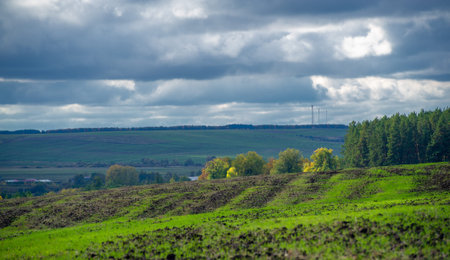 Autumn landscape photo. Flat flora of Europe. Meadows, ravines, thickets, open deciduous or mixed...