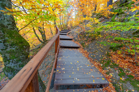 Hiking trail in the autumn beech forest high in the mountains of the Crimean peninsula, recreation...