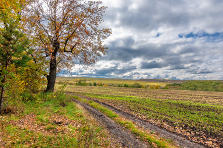Autumn landscape photo. Mixed forests, meadows, ravines, cloudy sky, wonderful season.