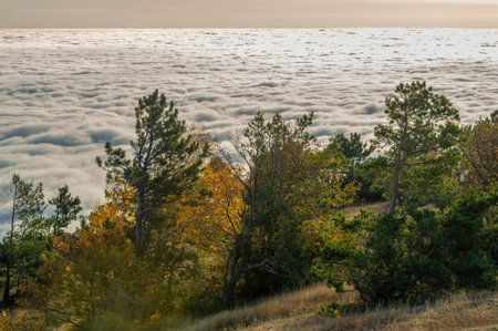 Autumn photos of the Crimean peninsula. High in the mountains above the clouds. Beech, pine,...