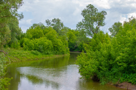 summer landscape, thunderclouds, blue sky, floodplain meadow fields, the aroma of summer colors and a variety of wildflowersの写真素材