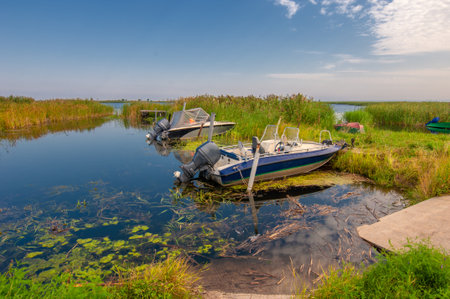 Summer landscape. River in the European part of the world. Sunny warm day. Green trees, grass. Blue sky with a small cloud cover.の写真素材