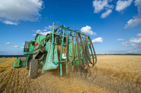 Summer photo of barley harvesting, Combine harvester, a machine commonly used for harvesting grain 2019 09 06 Tukaevsky district Tatarstan Russiaのeditorial素材