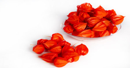 Physalis common bladder cherry, Chinese lantern, Japanese lantern, Groundcherry strawberry, Japan, its bright and lantern-like fruit cups make up a traditional part of the Bon festivalの写真素材