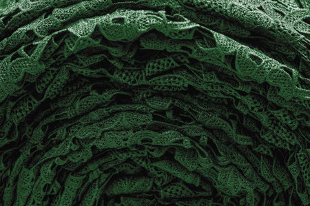 Lace fabric in green. Pure cotton lace with floral pattern embellished with embroidery. Light Transparency. Textured. Background. Patternの写真素材