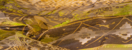silk fabric, green-brown, abstract background luxury cloth or liquid wave or wavy folds of grunge silk texture satin velvet material or luxurious Christmas background or elegant wallpaper designの写真素材