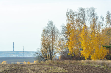 Autumn is a time of change. The time when plants and animals prepare for the cold and dark of the approaching winter. As the nights come and the temperature gets chillyの写真素材