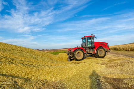 2019-10-07 Russia, Republic of Tatarstan. Autumn landscape photography, the European part of the Earth. Silos are used in agriculture for fermented feeds known as silage. Cornのeditorial素材