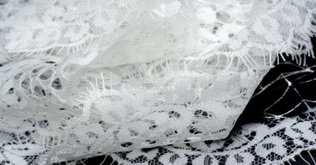 lace fabric. bird feather. white on a black background. Lace dominates fashion and home decor, carefully highlighting your designs, postcards, upholstery, and more.の写真素材