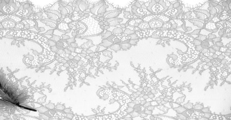 lace fabric. bird feather. white on a white background. Delicately crafted from yarn or thread, lace fabrics have historically embodied class and beauty since their inception in the 16th century.の写真素材