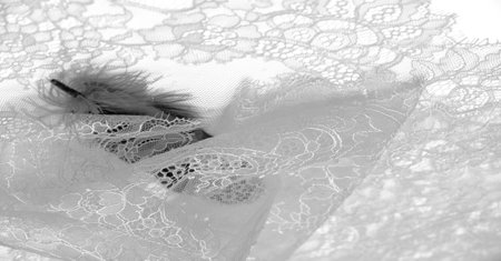 lace fabric. bird feather. white on a white background. Delicately crafted from yarn or thread, lace fabrics have historically embodied class and beauty since their inception in the 16th century.の写真素材