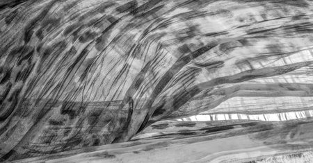 Silk fabric in fine organza with panther print, black and white. Crumpled texture. Background. Template.の写真素材
