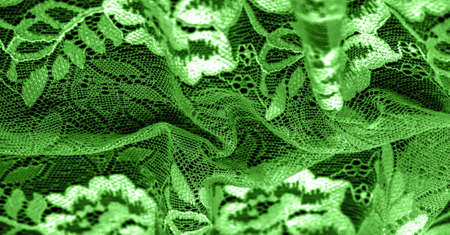 Green lace. Unique design Handmade black and white stretch lace. Accessories. Elegant, calm, naive fabric. Jacquard. High quality customized handmade accessories. Lingerie fabricsの写真素材