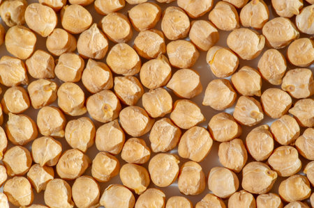 chick-pea. Its various varieties are variously known as gram or Bengal gram, garbanzo beans,...
