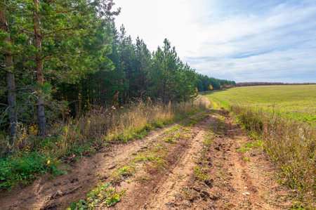 Autumn landscape photography, the European part of the Earth. Autumn colorful bright swinging leaves...