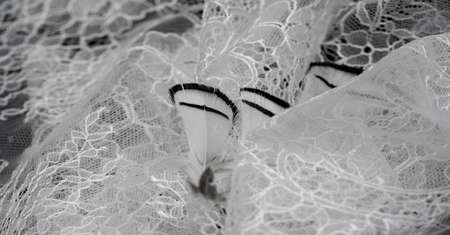 White lace fabric on a black background. Our collection of lace fabrics, delightfully embroidered pieces, vintage pieces are sure to excite and awaken the lace-loving fashionistas inside you.の写真素材