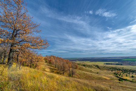 Autumn landscape photography, the European part of the Earth. Autumn colorful bright swinging leaves...