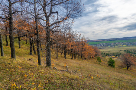 Autumn landscape photography, the European part of the Earth. Walk in the autumn forest. Autumn...