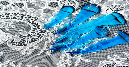 White lace fabric on a black background. Our collection of lace fabrics, delightfully embroidered pieces, vintage pieces are sure to excite and awaken the lace-loving fashionistas inside you.の写真素材