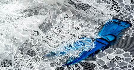White lace fabric on a black background. Our collection of lace fabrics, delightfully embroidered...