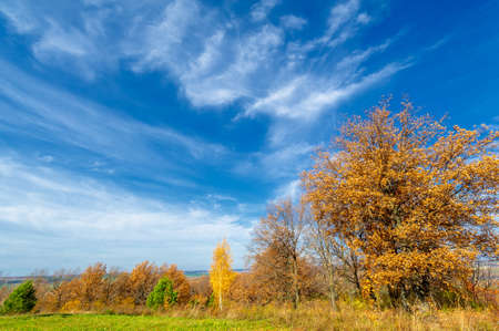 Autumn landscape photography, the European part of the Earth. Walk in the autumn forest. Autumn colors. Melancholy. Autumn mood, - Stock Imageの写真素材