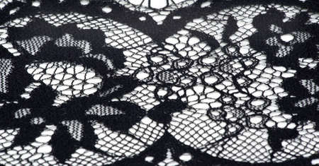 lace fabric. bird feather. lace color black on a white background. Texture, pattern. When it's time to choose the right pattern for your needs, you can count on my textures.の写真素材