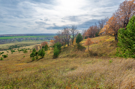 Autumn landscape photography, the European part of the Earth. Birch, oaks, linden, maples, dressed...