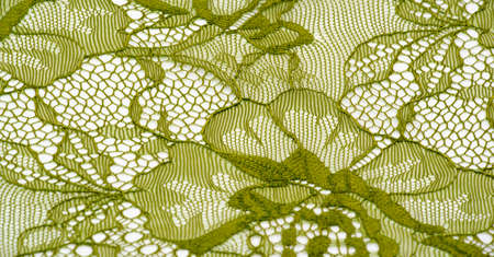 Green lace fabric on a white background. Fancy African tulle lace fabric polyester with full length flowers for your design. The texture. Background. Patternの写真素材