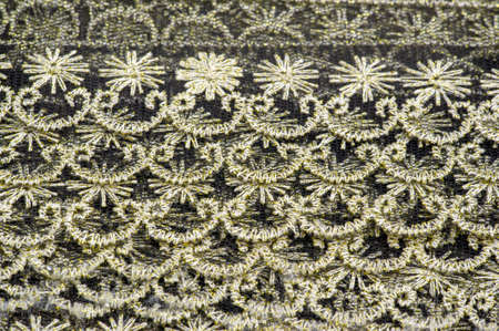 Vintage floral lace. Narrow lace trim. Decoration with a wedding ribbon. DIY app. Sewing Craft. Jewelry design creationの写真素材