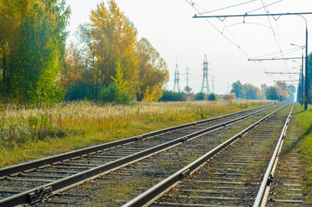 Railroad tracks in the fall. Empty railroad tracks, open landscape. Perspective view