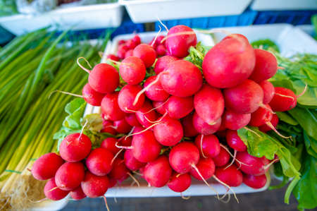 photo of the market, fruits and vegetables sold, 019-10-15 Krasnodar Territory Russiaの写真素材
