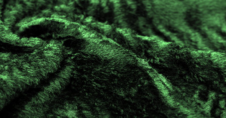 Velvet. Plush. Deep euirid green. fabric with an even pile, longer and less dense than velvet. Expensive or spectacularly luxurious. luxuriously furnished, rich, dearの写真素材