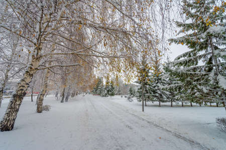 Snow evokes responses dating back to childhood. To appreciate the beauty of a snowflake, you need to stand out in the cold.の写真素材