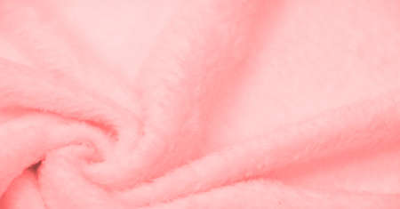 Velvet. Plush. Pale Red. (from the French peluche) - textiles with a short pile or nap, the same as fustian or velvet. White animal fur texture background, texture of plush fluffy fur close-up.の写真素材