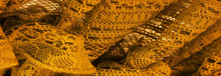 Background, texture, pattern, yellow lace fabric, thin open fabric, usually made of cotton or silk, made using loops, twisting or knitting threads in patternsの写真素材