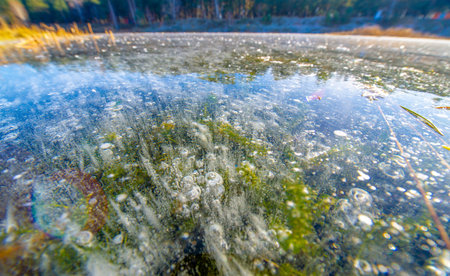 There is frost on the street, ice on the river, ice bubbles stuck in ice, unusually colorful ice...