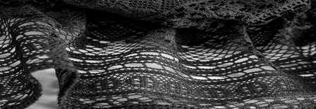 black lace fabric, sexy retro negligee material. Vintage lingerie ornament. background texture, pattern.の写真素材