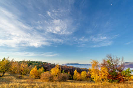 Autumn photos of the Crimean peninsula. High in the mountains above the clouds. Beech, pine, hornbeam, forest in the Demerdji mountainsの写真素材