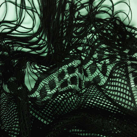 shawl from green female lace, crochet from green lace, fringe, hand knitting. Flower festival. Present of your design, wedding triangle, greeting cardの写真素材