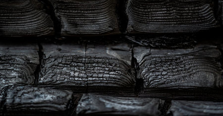 blurry shallow depth of field, texture, background, pattern, design, wood after a fire, fire created...