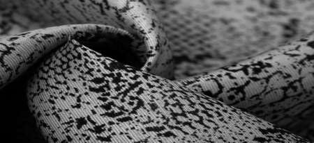 fabric with a pattern of gray snake skin, African fabric, design photo - safari in the country of Africa. Texture, backgroundの写真素材