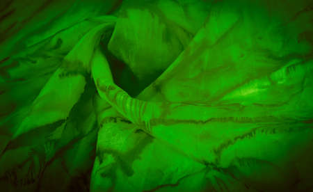 texture, background, pattern, green silk fabric with abstract print, ground, context, fond, foil, fieldの写真素材