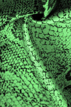 fabric with a green snake skin pattern, African fabric, designer photo - safari in the country of Africa. Texture, backgroundの写真素材