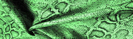 fabric with a green snake skin pattern, African fabric, designer photo - safari in the country of Africa. Texture, backgroundの写真素材